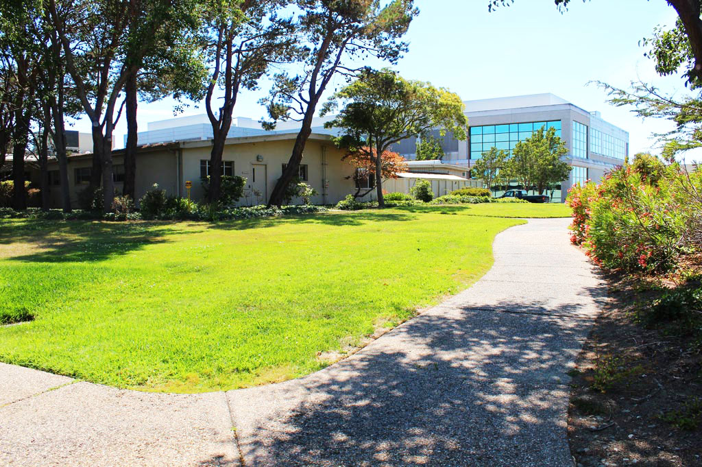 The garden of JOINN Innovation Park